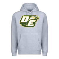 Heather Grey desoto high school, desoto Premium Hoodie - linhVisuals