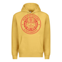 Antique Gold northeastern university Premium Hoodie - linhVisuals