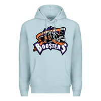 Blue Mist knoxville ice bears Premium Hoodie - linhVisuals