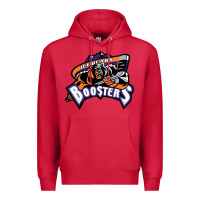 Cardinal knoxville ice bears Premium Hoodie - linhVisuals