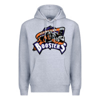 Heather Grey knoxville ice bears Premium Hoodie - linhVisuals