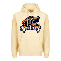 Knoxville Ice Bears Premium Hoodie | Teevron