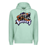 Seafoam knoxville ice bears Premium Hoodie - linhVisuals
