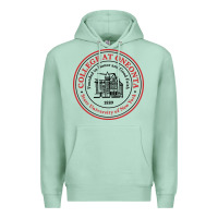 Seafoam Suny Oneonta Premium Hoodie - linhVisuals