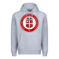 Heather Grey Texas Tech University Premium Hoodie - linhVisuals