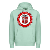 Seafoam Texas Tech University Premium Hoodie - linhVisuals