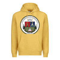 Antique Gold Upr At Arecibo Premium Hoodie - linhVisuals