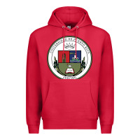 Cardinal Upr At Arecibo Premium Hoodie - linhVisuals