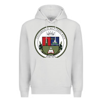 Dove Grey Upr At Arecibo Premium Hoodie - linhVisuals