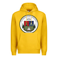 Lemon Upr At Arecibo Premium Hoodie - linhVisuals