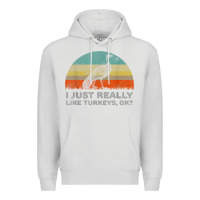 Dove Grey funny i just really like turkeys thanksgiving Premium Hoodie - linhVisuals