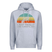 Heather Grey funny i just really like turkeys thanksgiving Premium Hoodie - linhVisuals