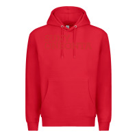 Red Suny Oneonta Wordmark Premium Hoodie - linhVisuals
