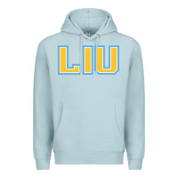 Liu Gold Wordmark Premium Hoodie | Teevron