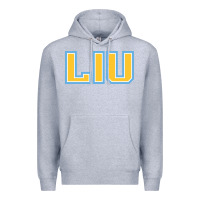 Heather Grey Liu Gold Wordmark Premium Hoodie - linhVisuals