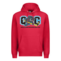 Cardinal quad city storm Premium Hoodie - linhVisuals