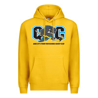Lemon quad city storm Premium Hoodie - linhVisuals