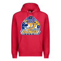 Cardinal roanoke rail yard dawgs Premium Hoodie - linhVisuals