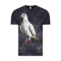 Cloud Black Dove Vintage Tee - LillyAllenDesigns
