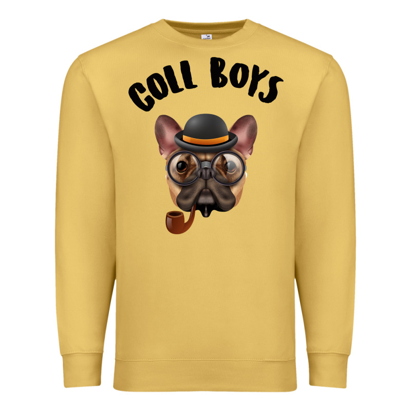 Cool Boys Premium Sweatshirt by Bettercallsaul | Teevron