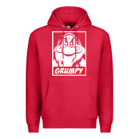 Cardinal grumpy funny Premium Hoodie - linhVisuals