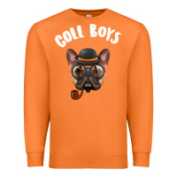 Carrot Cool Boys Premium Sweatshirt - Bettercallsaul