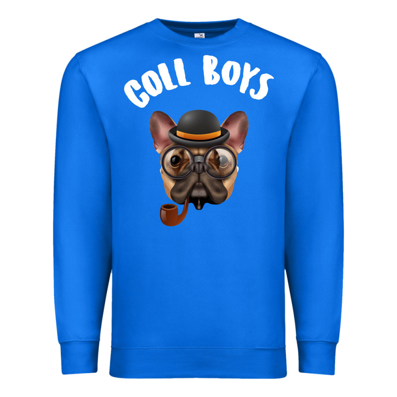Cool Boys Premium Sweatshirt by Bettercallsaul | Teevron