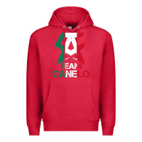 Cardinal team canelo Premium Hoodie - linhVisuals