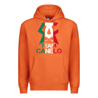 Carrot team canelo Premium Hoodie - linhVisuals