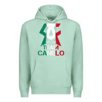 Seafoam team canelo Premium Hoodie - linhVisuals