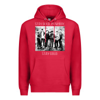 Cardinal the outsiders Premium Hoodie - linhVisuals