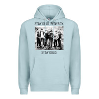 Blue Mist the outsiders Premium Hoodie - linhVisuals