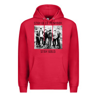 Cardinal the outsiders Premium Hoodie - linhVisuals