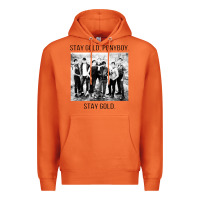 Carrot the outsiders Premium Hoodie - linhVisuals