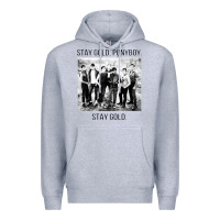 Heather Grey the outsiders Premium Hoodie - linhVisuals