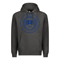 Charcoal Heather Brandeis University Premium Hoodie - linhVisuals