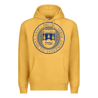 Mustard Brandeis University Premium Hoodie - linhVisuals