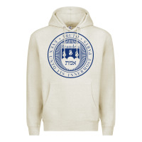 Oatmeal Heather Brandeis University Premium Hoodie - linhVisuals