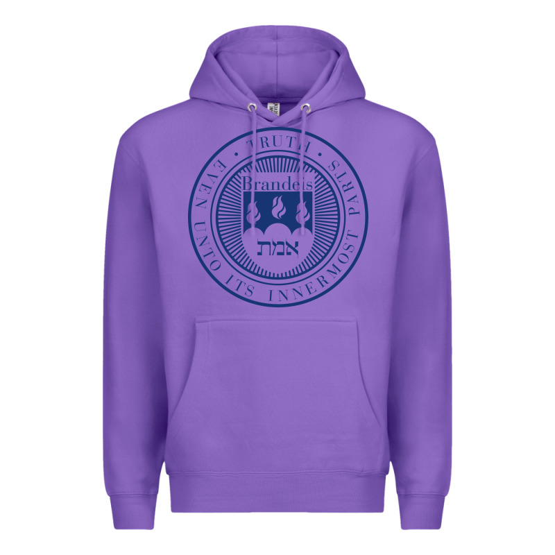 Brandeis University Premium Hoodie by linhVisuals | Teevron