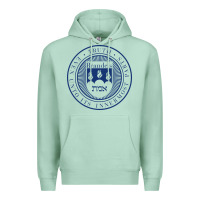 Seafoam Brandeis University Premium Hoodie - linhVisuals
