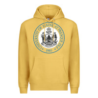 Antique Gold university of maine at presque Premium Hoodie - linhVisuals