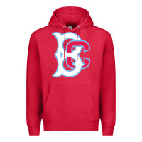 Cardinal brooklyn Premium Hoodie - linhVisuals