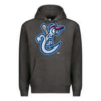 Charcoal Heather the-corpus-christi-hooks-pen Premium Hoodie - linhVisuals