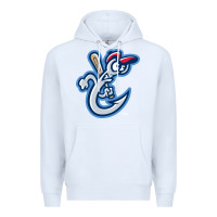 The-corpus-christi-hooks-pen Premium Hoodie | Teevron