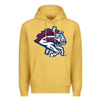 Antique Gold the-binghamton-rumble-ponies-pen Premium Hoodie - linhVisuals
