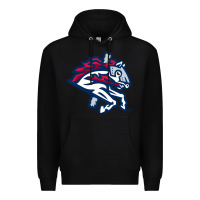 Black the-binghamton-rumble-ponies-pen Premium Hoodie - linhVisuals