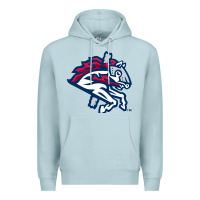 Blue Mist the-binghamton-rumble-ponies-pen Premium Hoodie - linhVisuals