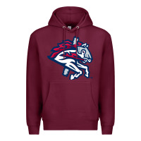 Burgundy the-binghamton-rumble-ponies-pen Premium Hoodie - linhVisuals