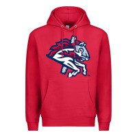 Cardinal the-binghamton-rumble-ponies-pen Premium Hoodie - linhVisuals