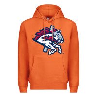 Carrot the-binghamton-rumble-ponies-pen Premium Hoodie - linhVisuals